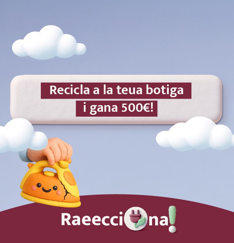 RAE2500716K_CAMPANYA_RAEES_2026_programatica_768_VAL